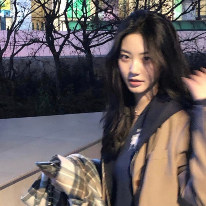 一棵树的纠纷